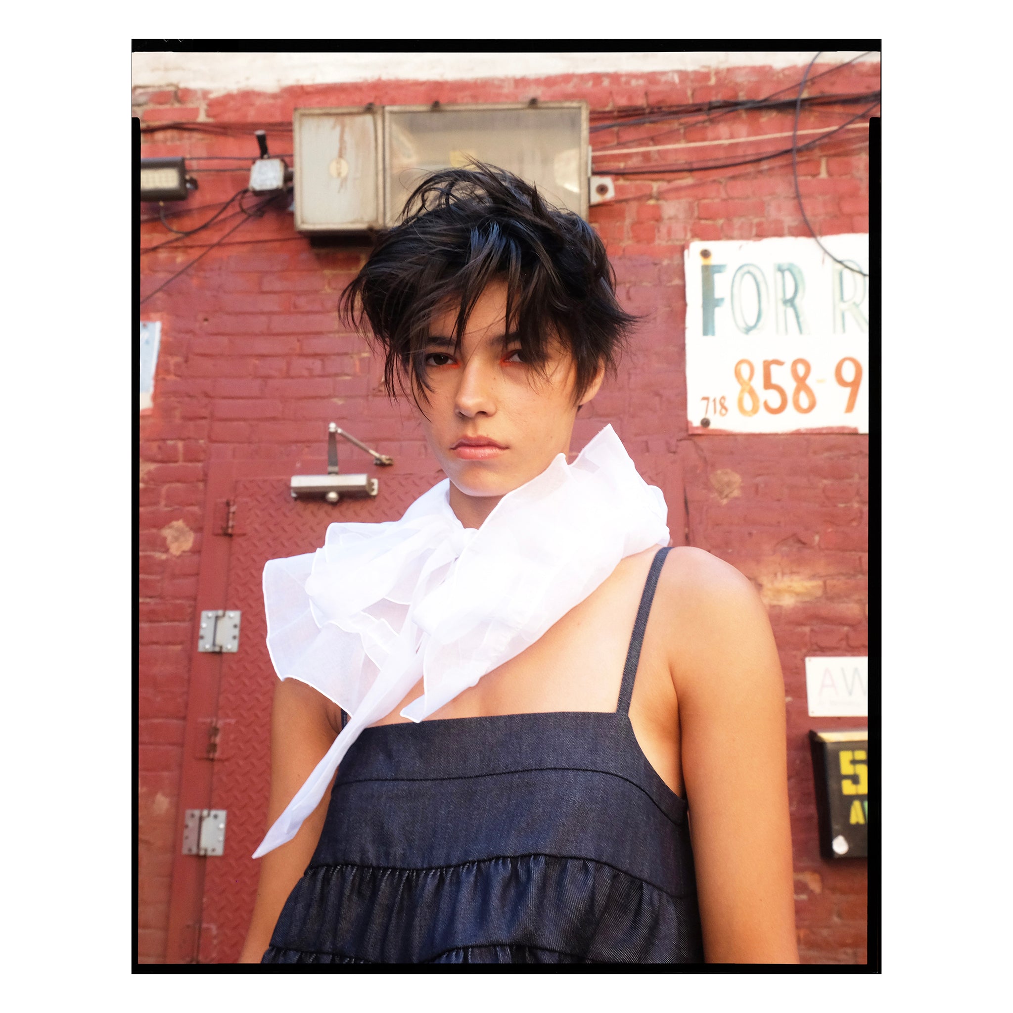 White Organdy Collar