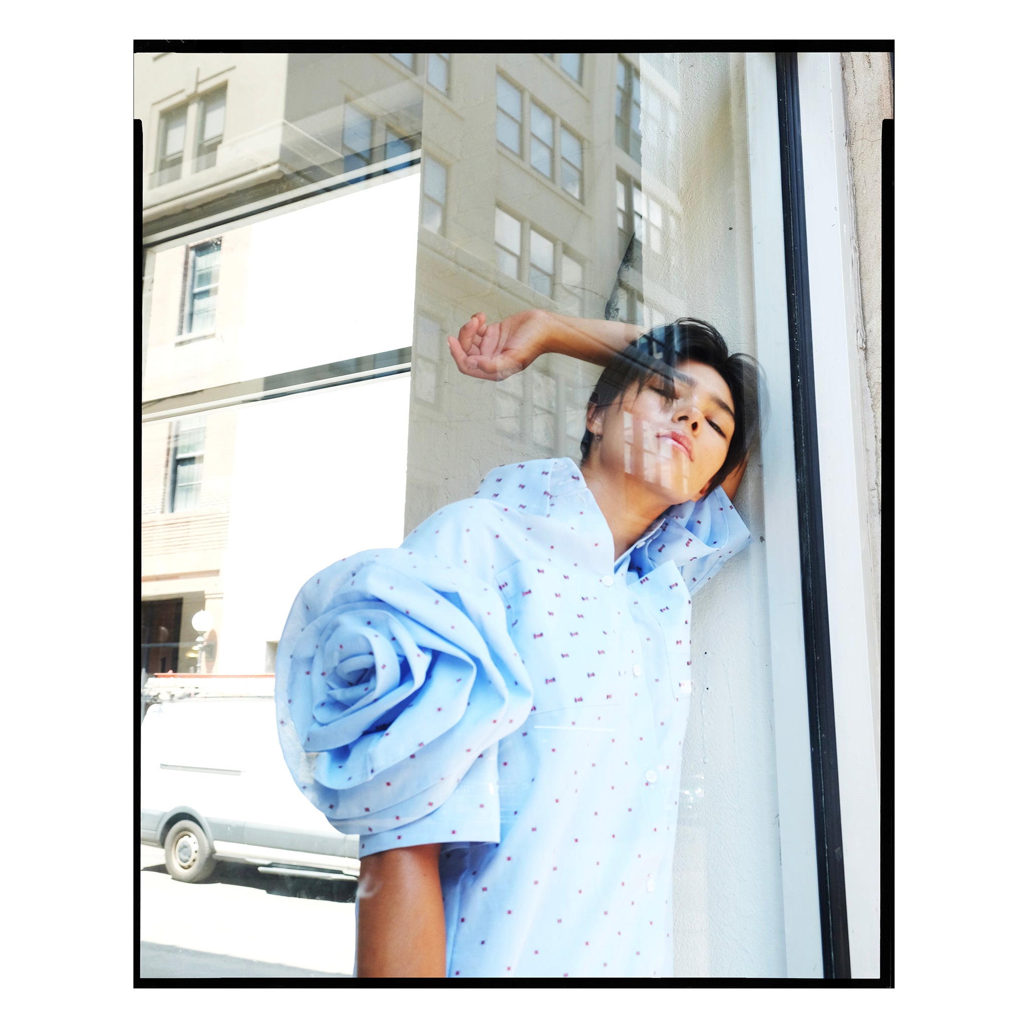 Blue Dot Rose Sleeve Shirtdress