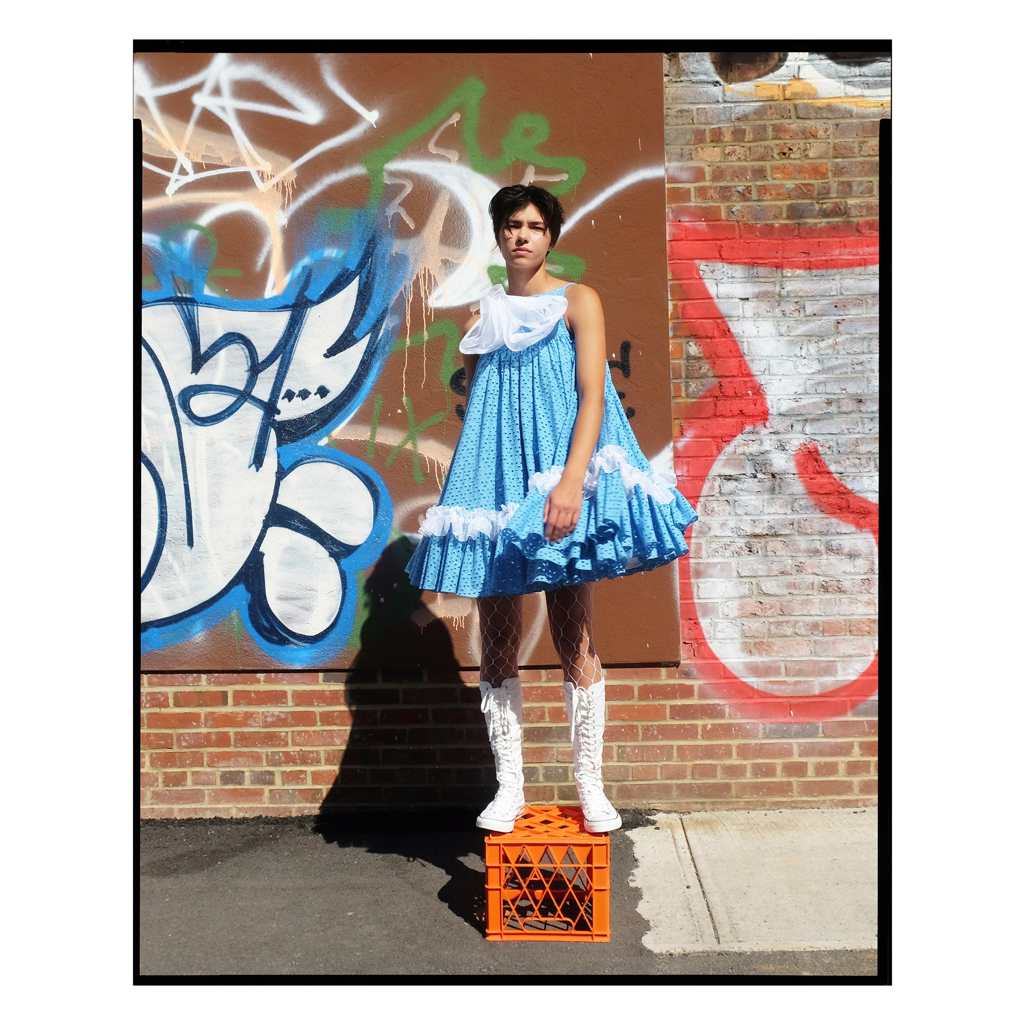 Blue Broderie Rose Trapeze Mini Dress