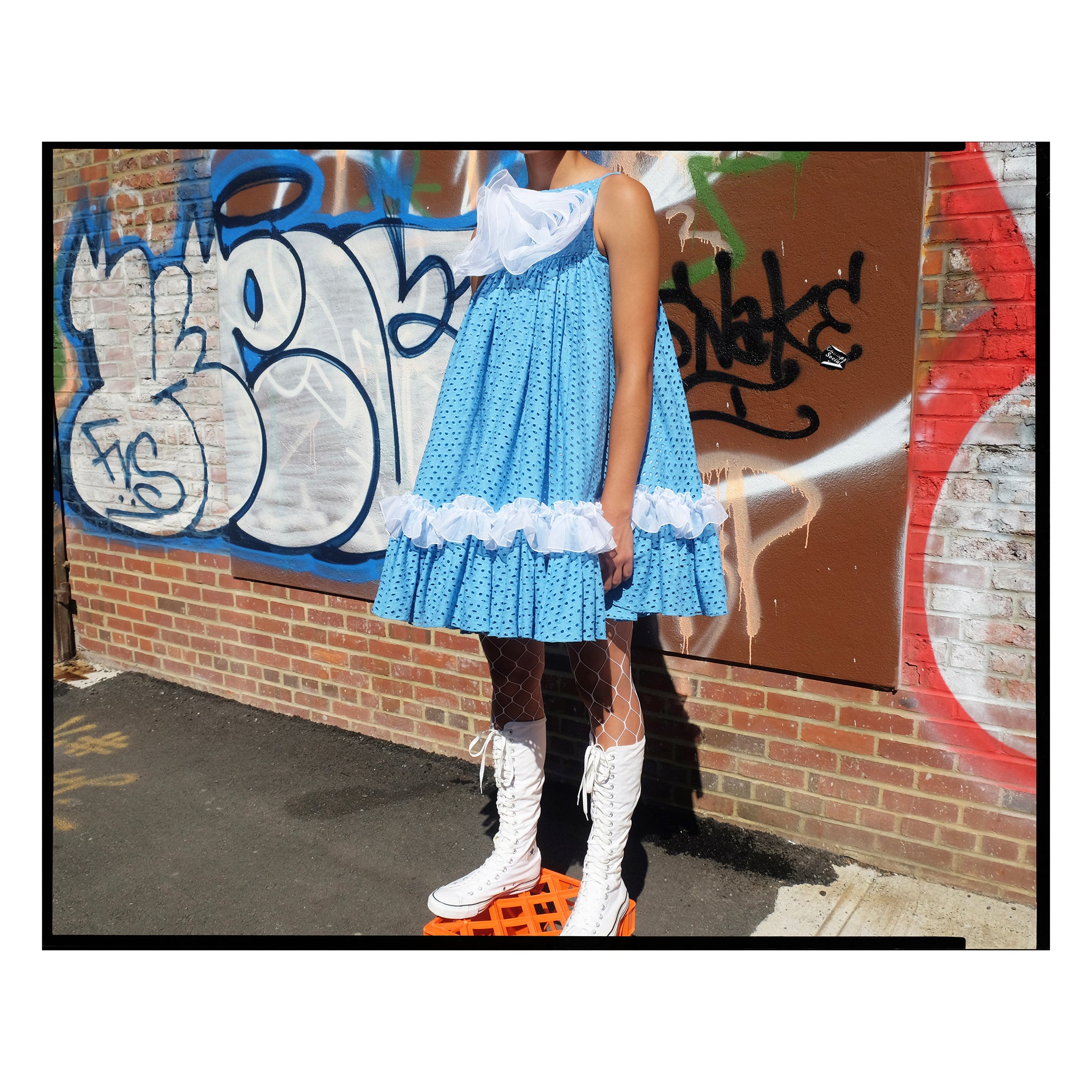 Broderie Anglaise Rose Trapeze Mini Dress