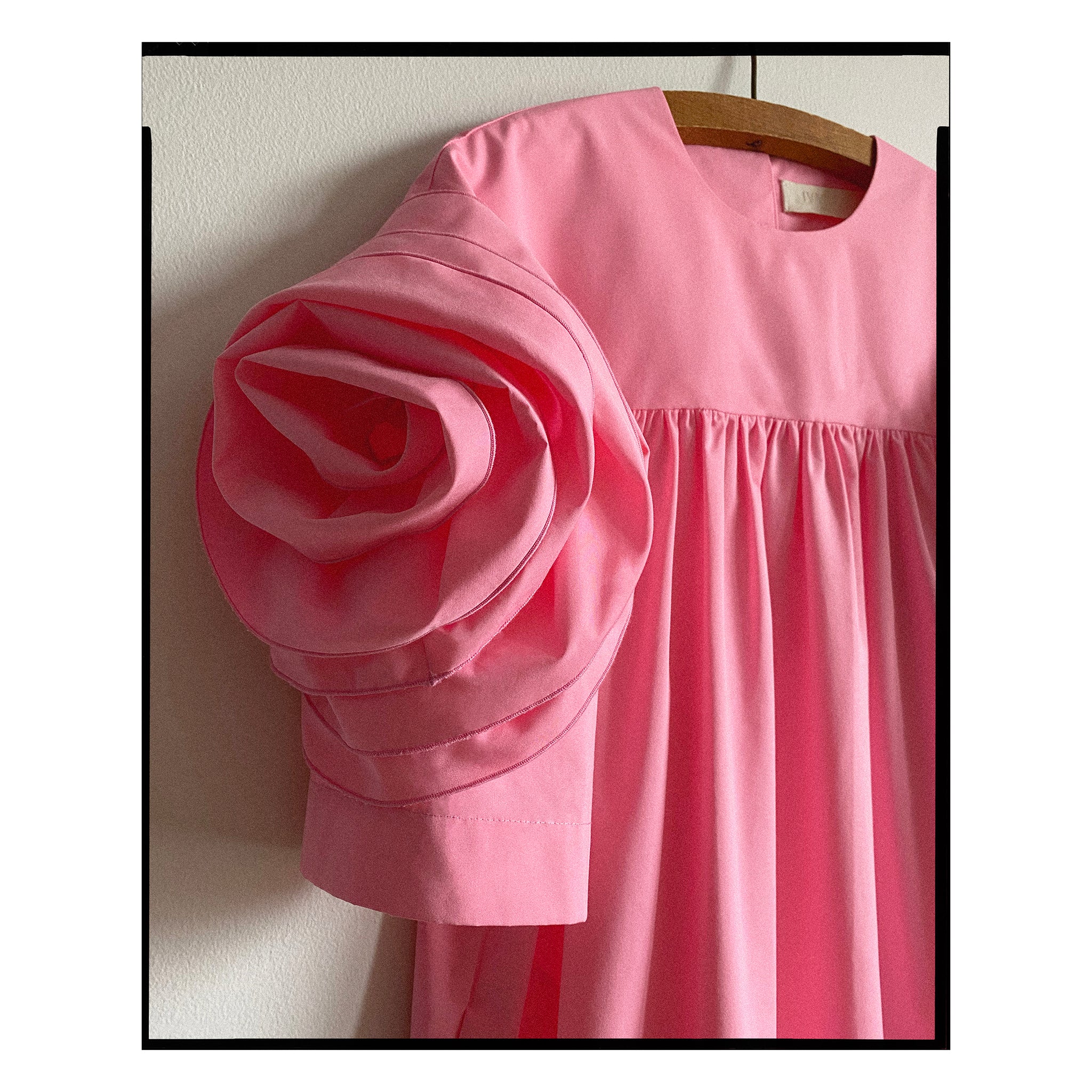 Pink Rose Sleeve Shift Dress